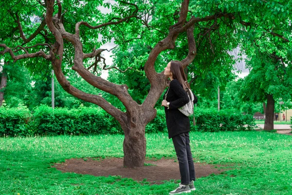 Молодая Брюнетка Стоит Большим Зеленым Деревом Смотрит Вверх Листья Любовь — стоковое фото
