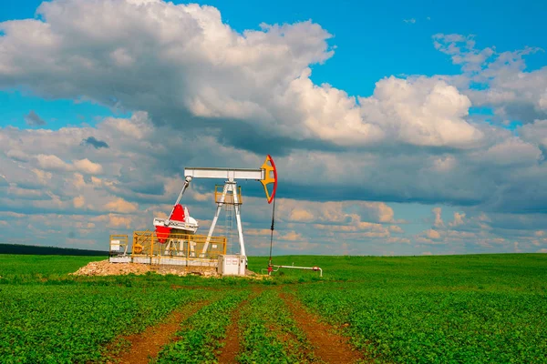 Modern Petrol Sallanan Sandalye Bir Alanda Yeşil Çimen — Stok fotoğraf