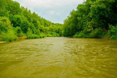Dik bankalar ve yoğun orman nehre taze yeşilin minimalist doğal peyzaj.