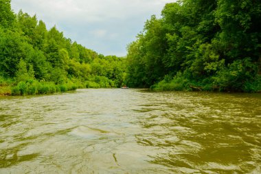 Dik bankalar ve yoğun orman nehre taze yeşilin minimalist doğal peyzaj.