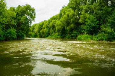 Ormanın içinde sakin su taze Nehri'nin idealist manzara.