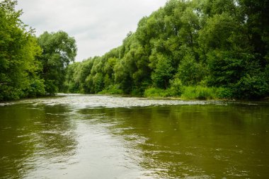 Ormanın içinde sakin su taze Nehri'nin idealist manzara.