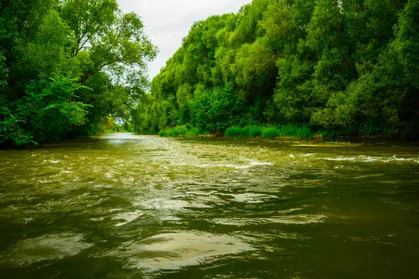 Idealistyczne Krajobraz Rzeki Świeże Spokojnej Wodzie Lesie — Zdjęcie stockowe