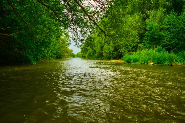 Minimalistyczne Naturalny Krajobraz Zielony Świeży Rzece Strome Brzegi Gęsty Las — Zdjęcie stockowe