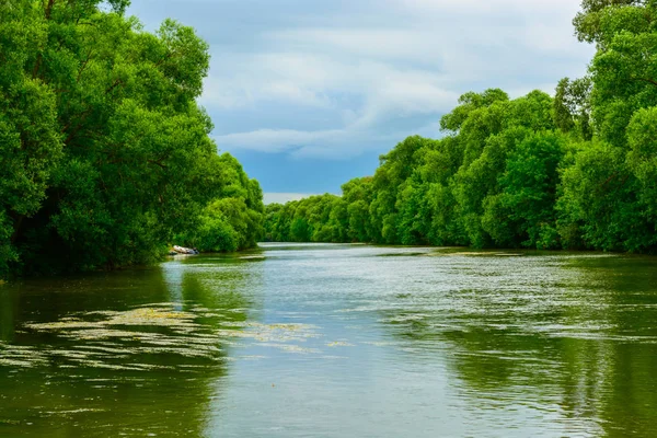 Minimalistyczne Naturalny Krajobraz Zielony Świeży Rzece Strome Brzegi Gęsty Las — Zdjęcie stockowe