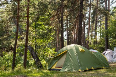 Toplanan çadırlarda orman glade, toplu kamp, açık rekreasyon