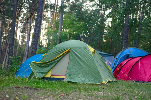 Toplanan çadırlarda orman glade, toplu kamp, açık rekreasyon