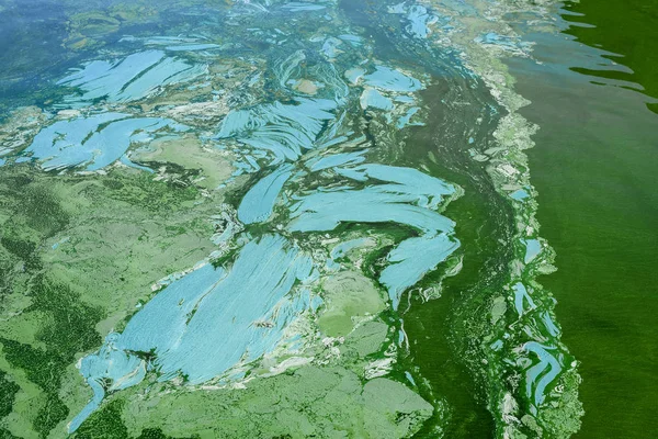 Su kirliliği yeşil algler, atık su, çevre sorunları ile.