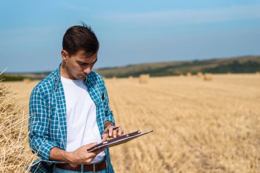 Adam çiftçi tablet el, kot pantolon ve gömlek alan, hasat, haymaking ile