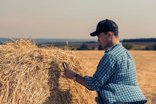 Young Farmer Field Tablet Magnifying Glass Evaluates Hay Harvest — Stock Photo, Image