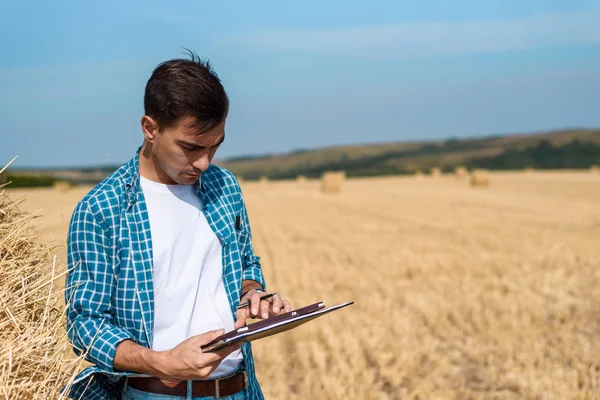 Man Farmer Tablet Hand Jeans Shirt Field Harvest Haymaking — Stock Photo, Image