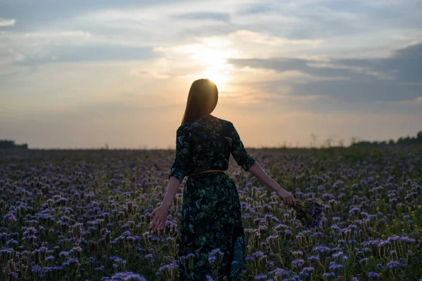 Gün batımında kadın çiçek arkada görünümden alan buket ile el