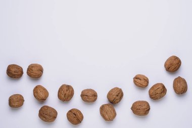 bir ceviz beyaz bir arka plan üzerinde yatay görüntü