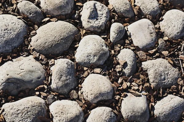 De textuur van grote gladde stenen in houtsnippers — Stockfoto