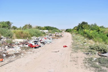 Çöplüğü, ekolojik felaket 