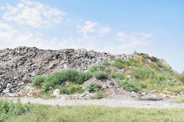 Çöplüğü, ekolojik felaket 