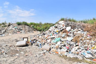 Çöplüğü, ekolojik felaket 