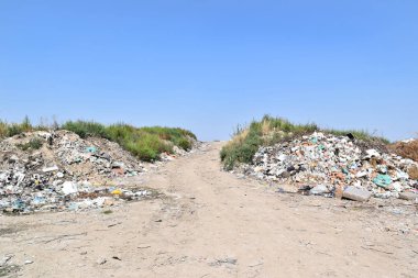 Çöplüğü, ekolojik felaket 