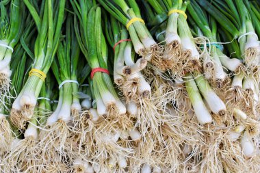 Pazarda taze taze soğan Demet   