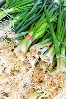 Pazarda taze taze soğan Demet   