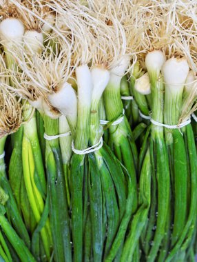 Pazarda taze taze soğan Demet   