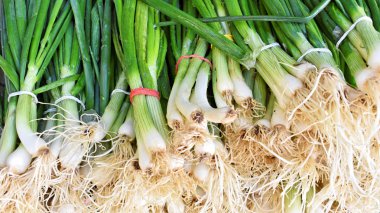 Pazarda taze taze soğan Demet   