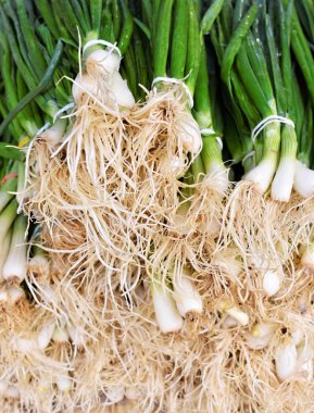 Pazarda taze taze soğan Demet   