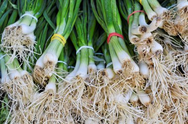 Pazarda taze taze soğan Demet   