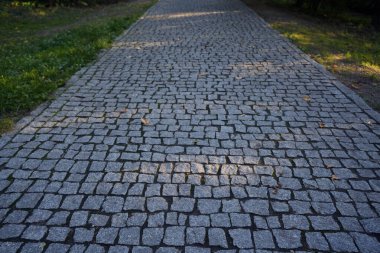 Ağaçlar, banklar ve sokak lambalarıyla çevrili yeşil bir parkın içinden geçen huzurlu taş kaldırımlar..