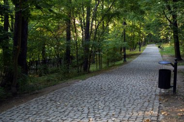 Ağaçlar, banklar ve sokak lambalarıyla çevrili yeşil bir parkın içinden geçen huzurlu taş kaldırımlar..
