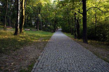 Ağaçlar, banklar ve sokak lambalarıyla çevrili yeşil bir parkın içinden geçen huzurlu taş kaldırımlar..
