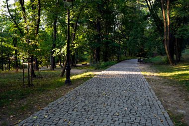 Ağaçlar, banklar ve sokak lambalarıyla çevrili yeşil bir parkın içinden geçen huzurlu taş kaldırımlar..