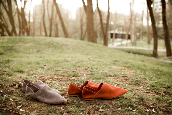 suede comfortable casual shoes outdoors on the grass in the park or in the forest, the sun shines on boxes with shoes