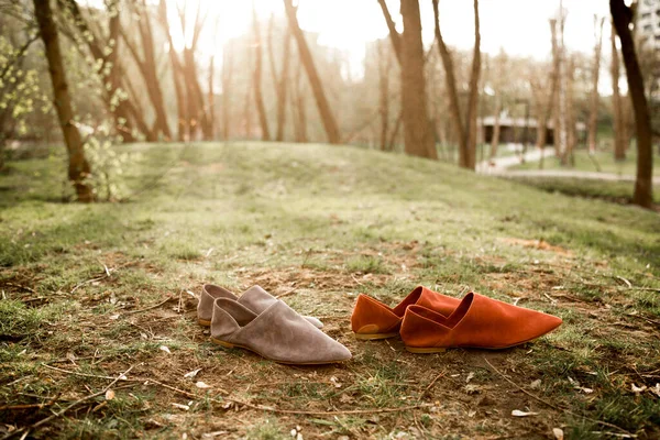 suede comfortable casual shoes outdoors on the grass in the park or in the forest, the sun shines on boxes with shoes