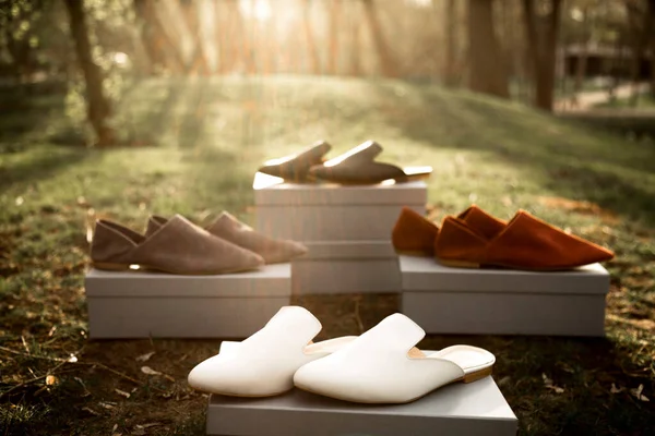 suede comfortable casual shoes outdoors on the grass in the park or in the forest, the sun shines on boxes with shoes