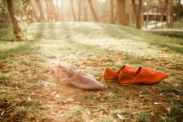 suede comfortable casual shoes outdoors on the grass in the park or in the forest, the sun shines on boxes with shoes