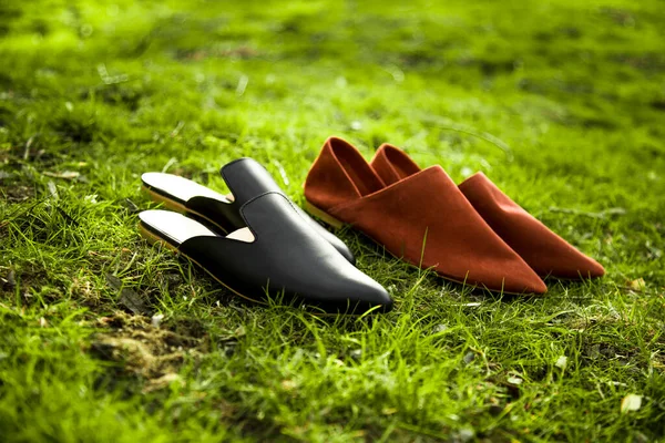 suede comfortable casual shoes outdoors on the grass in the park or in the forest, the sun shines on boxes with shoes