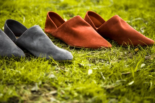 suede comfortable casual shoes outdoors on the grass in the park or in the forest, the sun shines on boxes with shoes