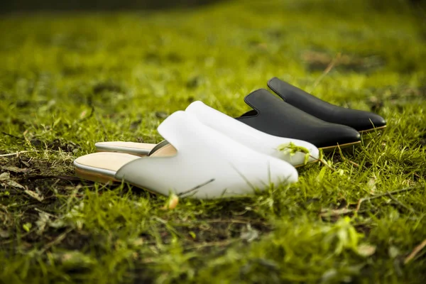 suede comfortable casual shoes outdoors on the grass in the park or in the forest, the sun shines on boxes with shoes