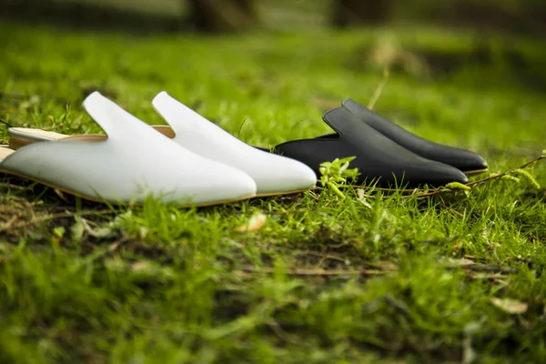 suede comfortable casual shoes outdoors on the grass in the park or in the forest, the sun shines on boxes with shoes