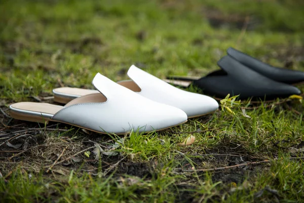 suede comfortable casual shoes outdoors on the grass in the park or in the forest, the sun shines on boxes with shoes