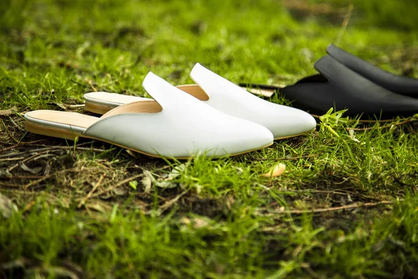 suede comfortable casual shoes outdoors on the grass in the park or in the forest, the sun shines on boxes with shoes