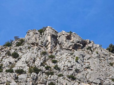 Yükselen kayalık bir tepe, yemyeşil yemyeşil ile çevrili canlı mavi bir gökyüzüne karşı keskin bir şekilde yükselir. Doğal oluşumlar çarpıcı manzaranın engebeli güzelliğini vurgular..