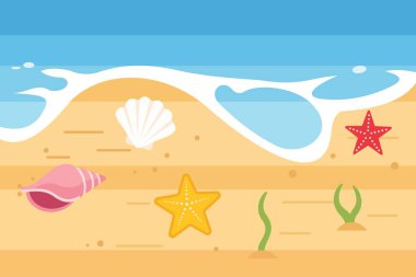 Kabukları, deniz yıldızları, deniz bitkileri ve parlak bir gökyüzünün altında hafif dalgalarla dolu kumlu bir kumsalın temsili..