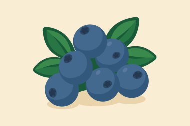 Vector artwork featuring a cluster of ripe blueberries with vibrant green leaves, presented on a plain light background. Ideal for concepts like nature, health, summer, and fresh food