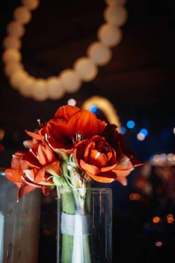 kırmızı çiçek buket, yakın çekim