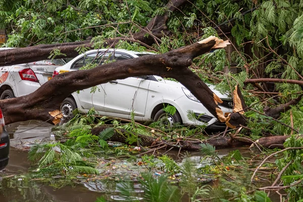 2020年5月20日 印度西孟加拉邦加尔各答 严重的气旋风暴 Amphan 对停放在加尔各答 Kolkata India 水路上的车辆造成破坏和摧毁 并将树干连根拔起 — 图库照片