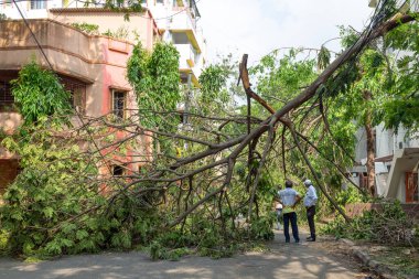 Kolkata, Batı Bengal, Hindistan, 20 Mayıs 2020: Kolkata Hindistan 'da kökünden sökülmüş bir ağaç gövdesinin şehir yolunu tıkaması nedeniyle şiddetli siklonik fırtına 
