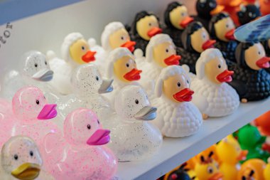 Various rubber ducks stand on a store shelf, ducks in a sheep suit, ducks made of transparent rubber