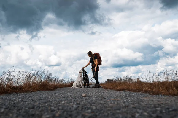 Young Woman Feeds Two Dogs Walk Front Dramatic Sky — Stock Photo, Image